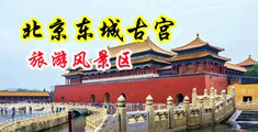 嗯啊骚逼网站中国北京-东城古宫旅游风景区